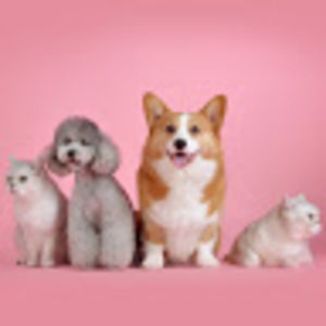 Meet your Posher, Lilly lynn